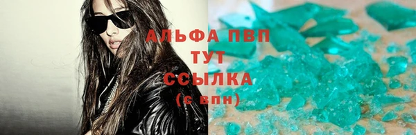 прущие грибы Арсеньев