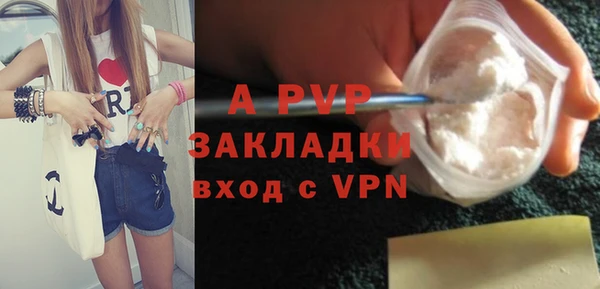 прущие грибы Арсеньев
