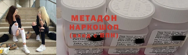 прущие грибы Арсеньев
