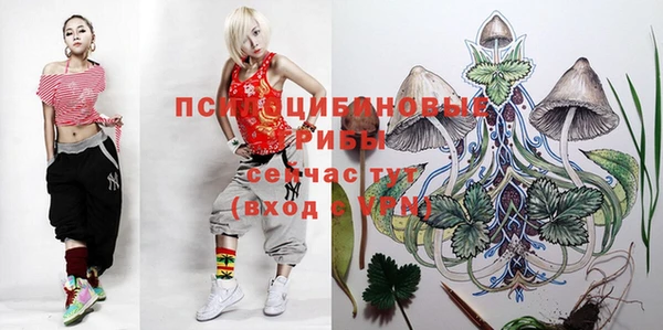 а пвп мука Армянск