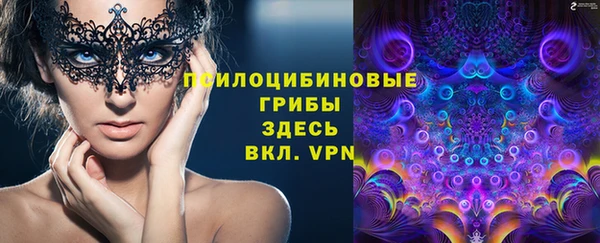 прущие грибы Арсеньев
