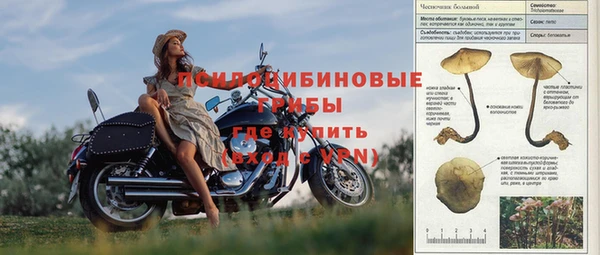 прущие грибы Арсеньев
