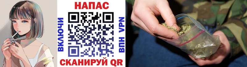 Бошки Шишки конопля  Кодинск 